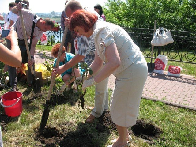 Кемеровские доноры в честь Всемирного дня донора посадили алые розы 
